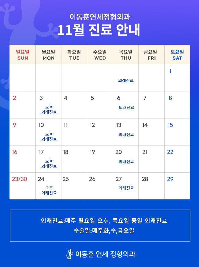 11월진료